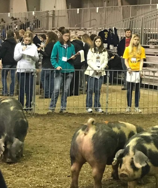 Leigh Community Schools Senior Livestock Judging Team Advances to State!
